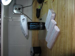 IMG_0351.jpg