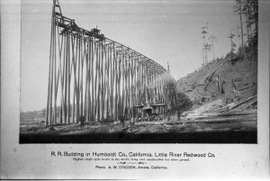 ProtoBigtrestleLittleRiverRedwoodCoCalif.jpg