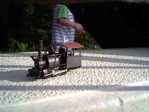 p1.jpg