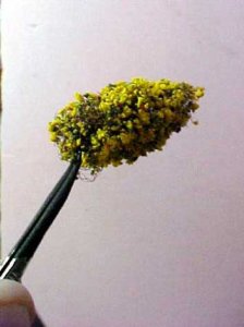 trees5.jpg