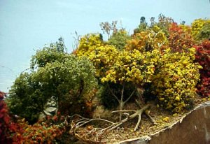 trees11.jpg