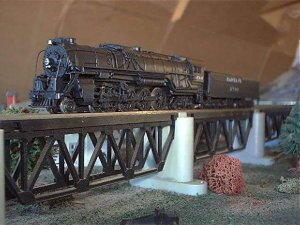 bachn484on bridge.jpg