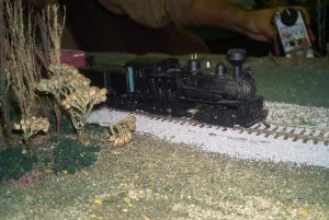 bmann shay.jpg