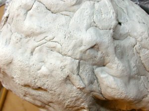 z018-rock-texture-01.jpg