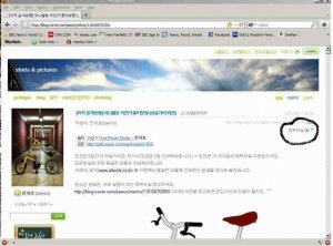 Velo Web.jpg