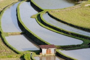 aragishima_wakayama.jpg