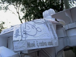 carapace-detail.jpg