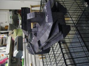 IMG_0558.jpg