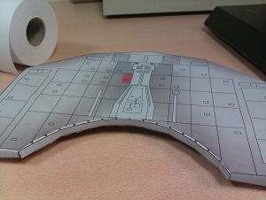 below back 1.jpg