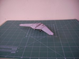 IMG_0264.jpg