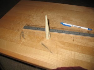 IMG_2009.jpg