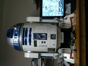 IMG_0015.jpg