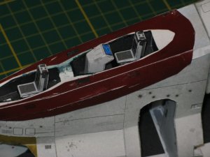 IMG_0667.jpg