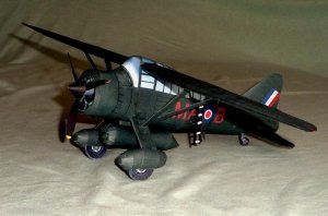 PHOTO1_lysander.jpg