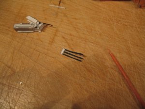 IMG_2085.jpg