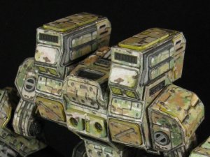 IMG_5551A.jpg