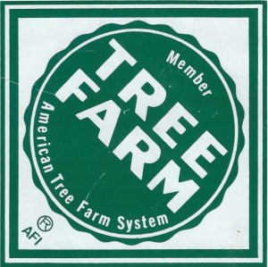 tree farm.jpg