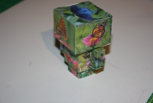 IMG_6246.jpg