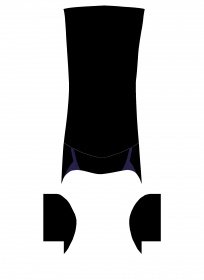 lexus project1.jpg