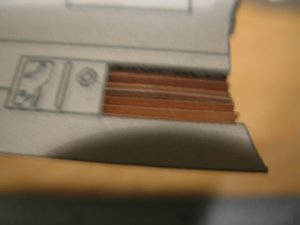 IMG_2253.jpg