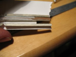 IMG_2250.jpg