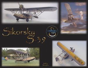 Sikorsky S-39 composite.jpg