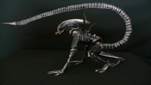 Xeno1.jpg Xeno1.jpg