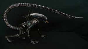 Xeno2.jpg