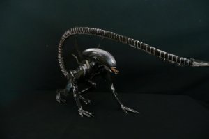Xeno3.jpg