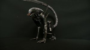 Xeno4.jpg