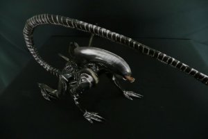 Xeno5.jpg