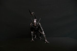 Xeno6.jpg