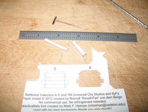 IMG_2317.jpg
