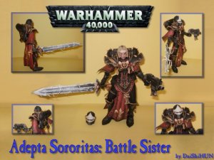 Battle Sister.jpg