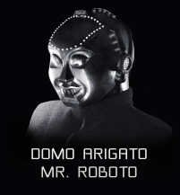 roboto3.jpg