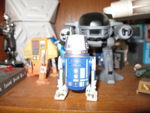 IMG_2390.jpg