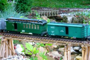 DSC05735.jpg