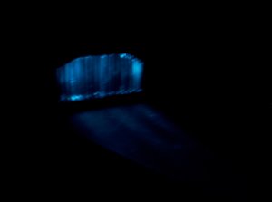 000_0888.jpg