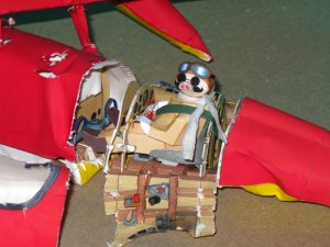 Savoia-B-003.jpg