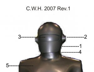 Gort_head_from_pdf.jpg