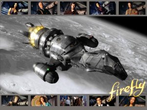 firefly.jpg