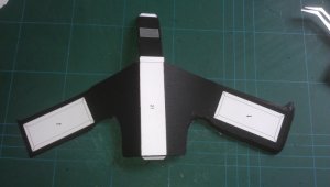 IMAG0202.jpg
