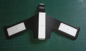 IMAG0203.jpg