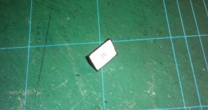 IMAG0239.jpg