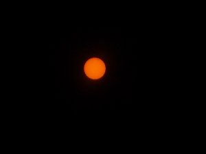 DSCN0116.jpg
