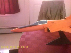 007.JPG