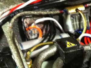 IMG_2455_800x598.jpg