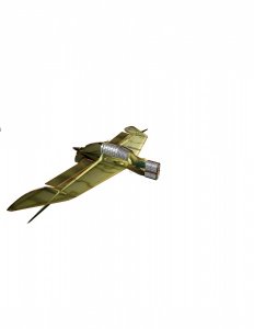 NausG1.jpg