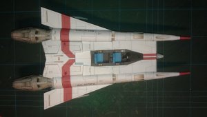 IMAG0595.jpg