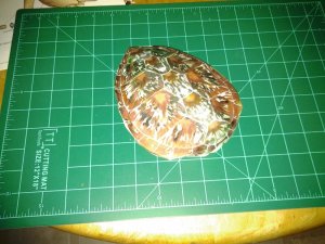 20120728_232820.jpg